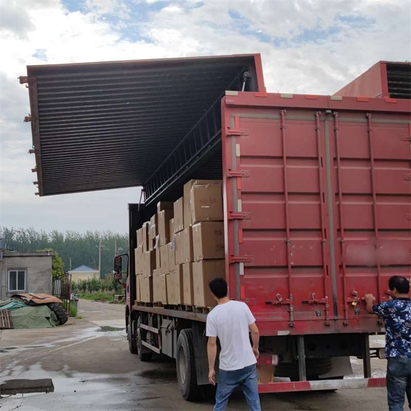 平阳县扎囊县：物流专线的高效货运之旅